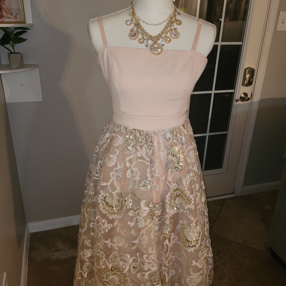 BEBE BLUSH DRESS!